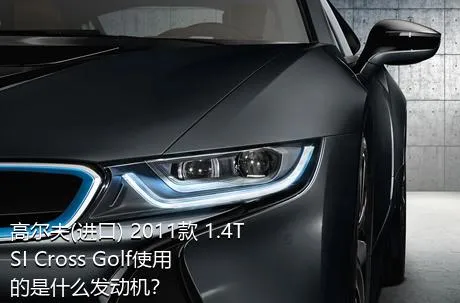 高尔夫(进口) 2011款 1.4TSI Cross Golf使用的是什么发动机？