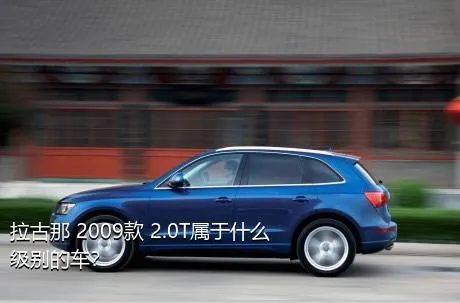 拉古那 2009款 2.0T属于什么级别的车？