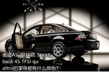 奥迪A5 2016款 Sportback 45 TFSI quattro的车身都有什么颜色？