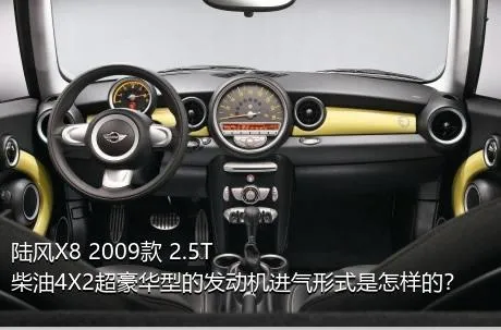 陆风X8 2009款 2.5T 柴油4X2超豪华型的发动机进气形式是怎样的？