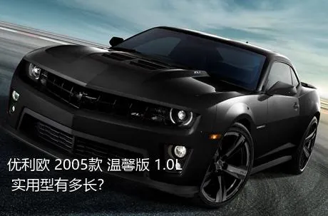 优利欧 2005款 温馨版 1.0L 实用型有多长？