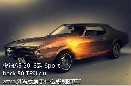 奥迪A5 2013款 Sportback 50 TFSI quattro风尚版属于什么级别的车？