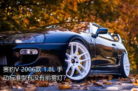 赛豹V 2006款 1.8L 手动标准型有没有前雾灯？