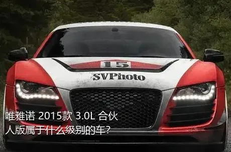 唯雅诺 2015款 3.0L 合伙人版属于什么级别的车？