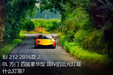 BJ 212 2016款 2.0L 方门 四驱豪华型 国IV的近光灯是什么灯泡？