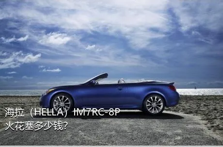 海拉（HELLA）IM7RC-8P火花塞多少钱？