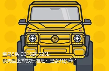 宝马5系 2010款 525Li 领先型的排放标准是？是欧几的车？