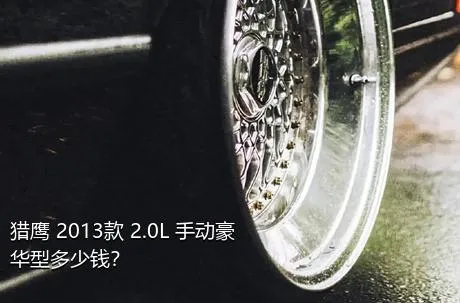 猎鹰 2013款 2.0L 手动豪华型多少钱？