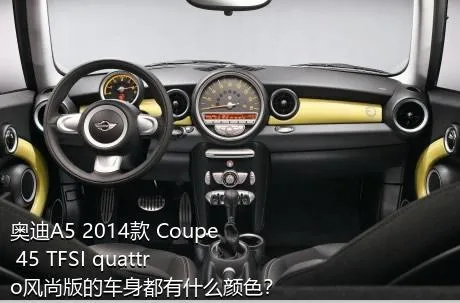 奥迪A5 2014款 Coupe 45 TFSI quattro风尚版的车身都有什么颜色？