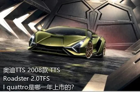 奥迪TTS 2008款 TTS Roadster 2.0TFSI quattro是哪一年上市的？