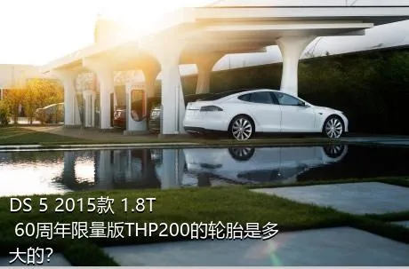 DS 5 2015款 1.8T 60周年限量版THP200的轮胎是多大的？