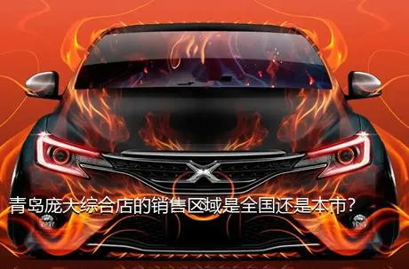 青岛庞大综合店的销售区域是全国还是本市？
