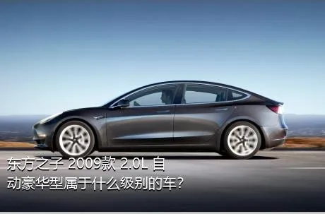 东方之子 2009款 2.0L 自动豪华型属于什么级别的车？