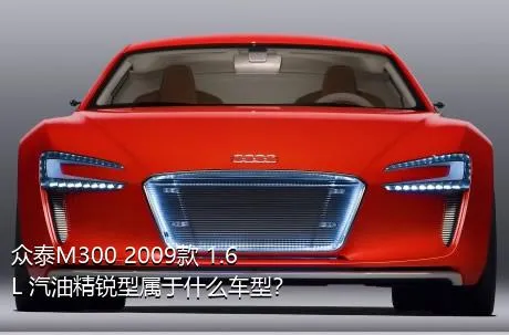 众泰M300 2009款 1.6L 汽油精锐型属于什么车型？