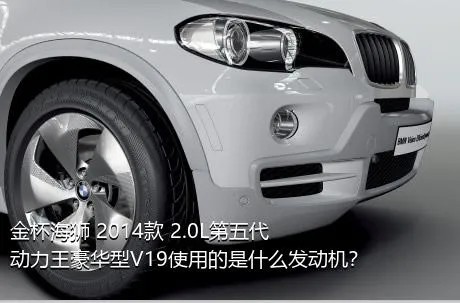 金杯海狮 2014款 2.0L第五代动力王豪华型V19使用的是什么发动机？