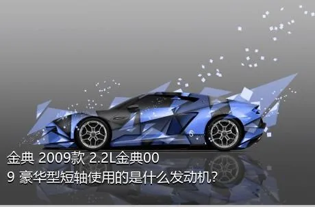 金典 2009款 2.2L金典009 豪华型短轴使用的是什么发动机？