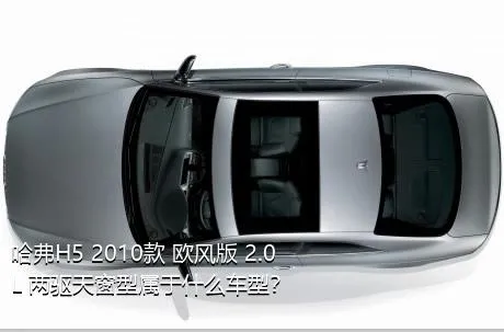 哈弗H5 2010款 欧风版 2.0L 两驱天窗型属于什么车型？