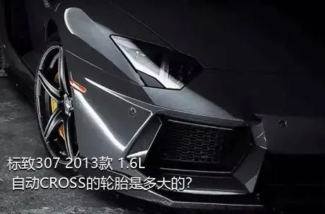 标致307 2013款 1.6L 自动CROSS的轮胎是多大的？