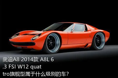 奥迪A8 2014款 A8L 6.3 FSI W12 quattro旗舰型属于什么级别的车？