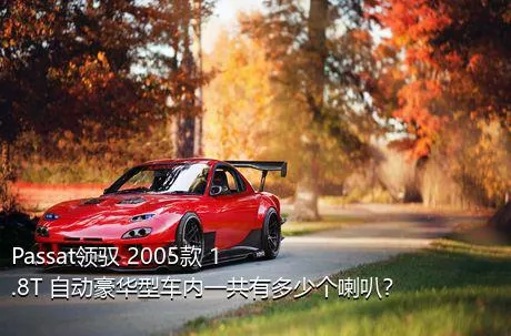 Passat领驭 2005款 1.8T 自动豪华型车内一共有多少个喇叭？