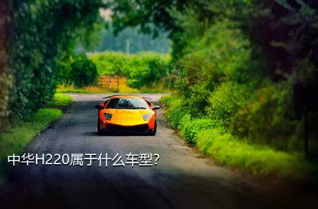 中华H220属于什么车型？