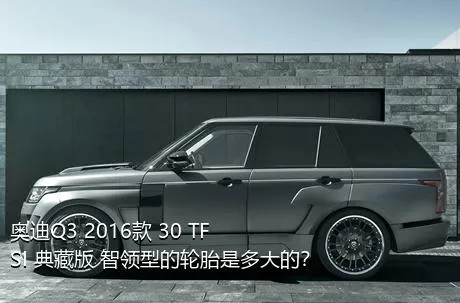 奥迪Q3 2016款 30 TFSI 典藏版 智领型的轮胎是多大的？