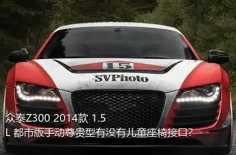 众泰Z300 2014款 1.5L 都市版手动尊贵型有没有儿童座椅接口？