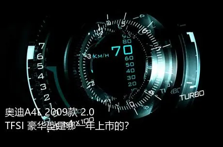 奥迪A4L 2009款 2.0 TFSI 豪华型是哪一年上市的？