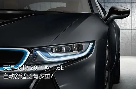 天语 尚悦 2011款 1.6L 自动舒适型有多重？