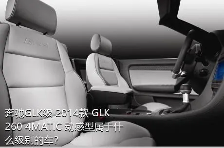 奔驰GLK级 2014款 GLK 260 4MATIC 动感型属于什么级别的车？