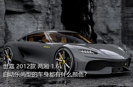 世嘉 2012款 两厢 1.6L 自动乐尚型的车身都有什么颜色？