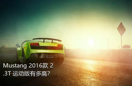 Mustang 2016款 2.3T 运动版有多高？