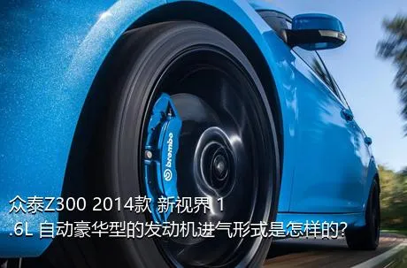 众泰Z300 2014款 新视界 1.6L 自动豪华型的发动机进气形式是怎样的？