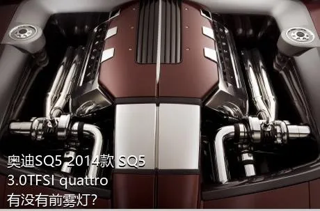 奥迪SQ5 2014款 SQ5 3.0TFSI quattro有没有前雾灯？