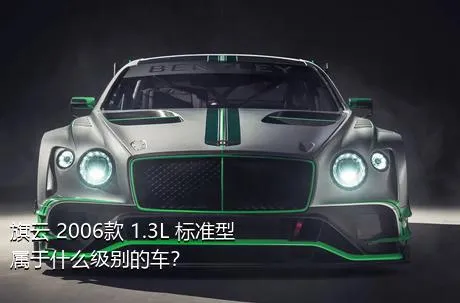 旗云 2006款 1.3L 标准型属于什么级别的车？