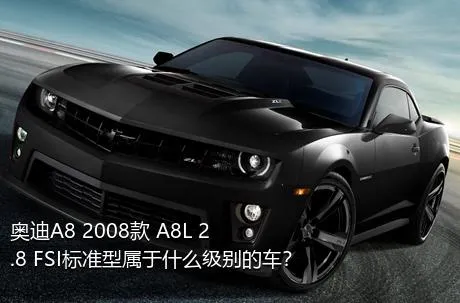 奥迪A8 2008款 A8L 2.8 FSI标准型属于什么级别的车？