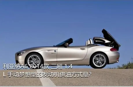 利亚纳A6 2014款 三厢 1.4L 手动梦想型的发动机供油方式是？