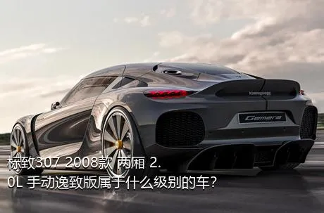 标致307 2008款 两厢 2.0L 手动逸致版属于什么级别的车？