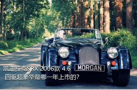 凯迪拉克SRX 2006款 4.6 四驱超豪华是哪一年上市的？