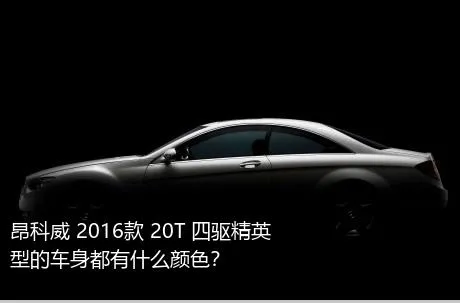昂科威 2016款 20T 四驱精英型的车身都有什么颜色？