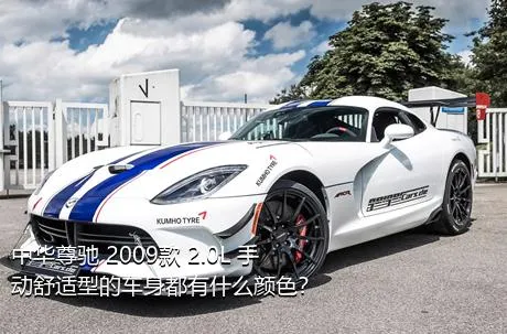 中华尊驰 2009款 2.0L 手动舒适型的车身都有什么颜色？