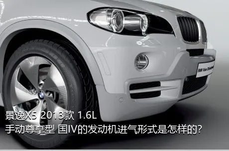 景逸X5 2013款 1.6L 手动尊享型 国IV的发动机进气形式是怎样的？