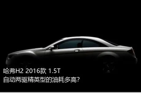 哈弗H2 2016款 1.5T 自动两驱精英型的油耗多高？