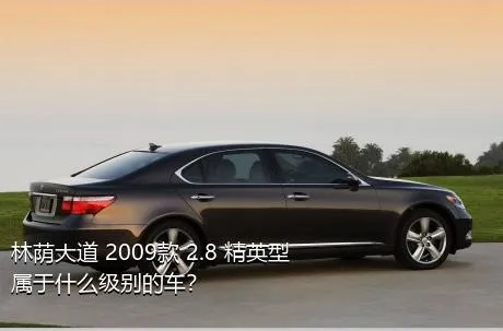 林荫大道 2009款 2.8 精英型属于什么级别的车？