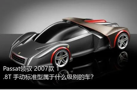 Passat领驭 2007款 1.8T 手动标准型属于什么级别的车？