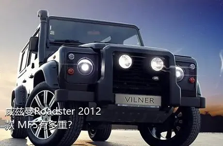 威兹曼Roadster 2012款 MF5有多重？