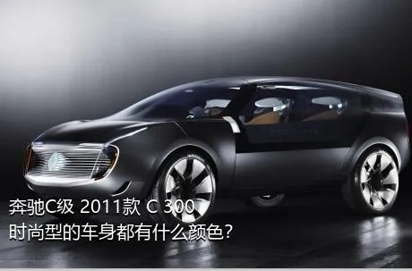 奔驰C级 2011款 C 300 时尚型的车身都有什么颜色？