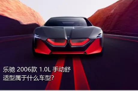 乐驰 2006款 1.0L 手动舒适型属于什么车型？