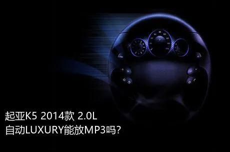 起亚K5 2014款 2.0L 自动LUXURY能放MP3吗？