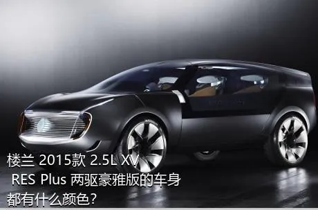 楼兰 2015款 2.5L XV RES Plus 两驱豪雅版的车身都有什么颜色？